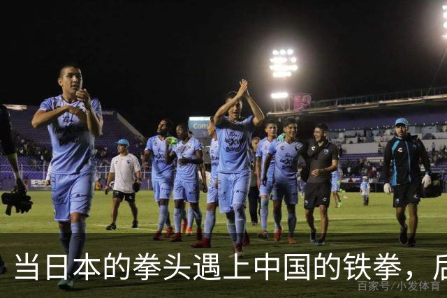 当日本的拳头遇上中国的铁拳，后果如何？