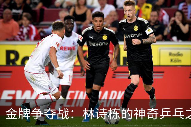 金牌争夺战：林诗栋的神奇乒乓之旅